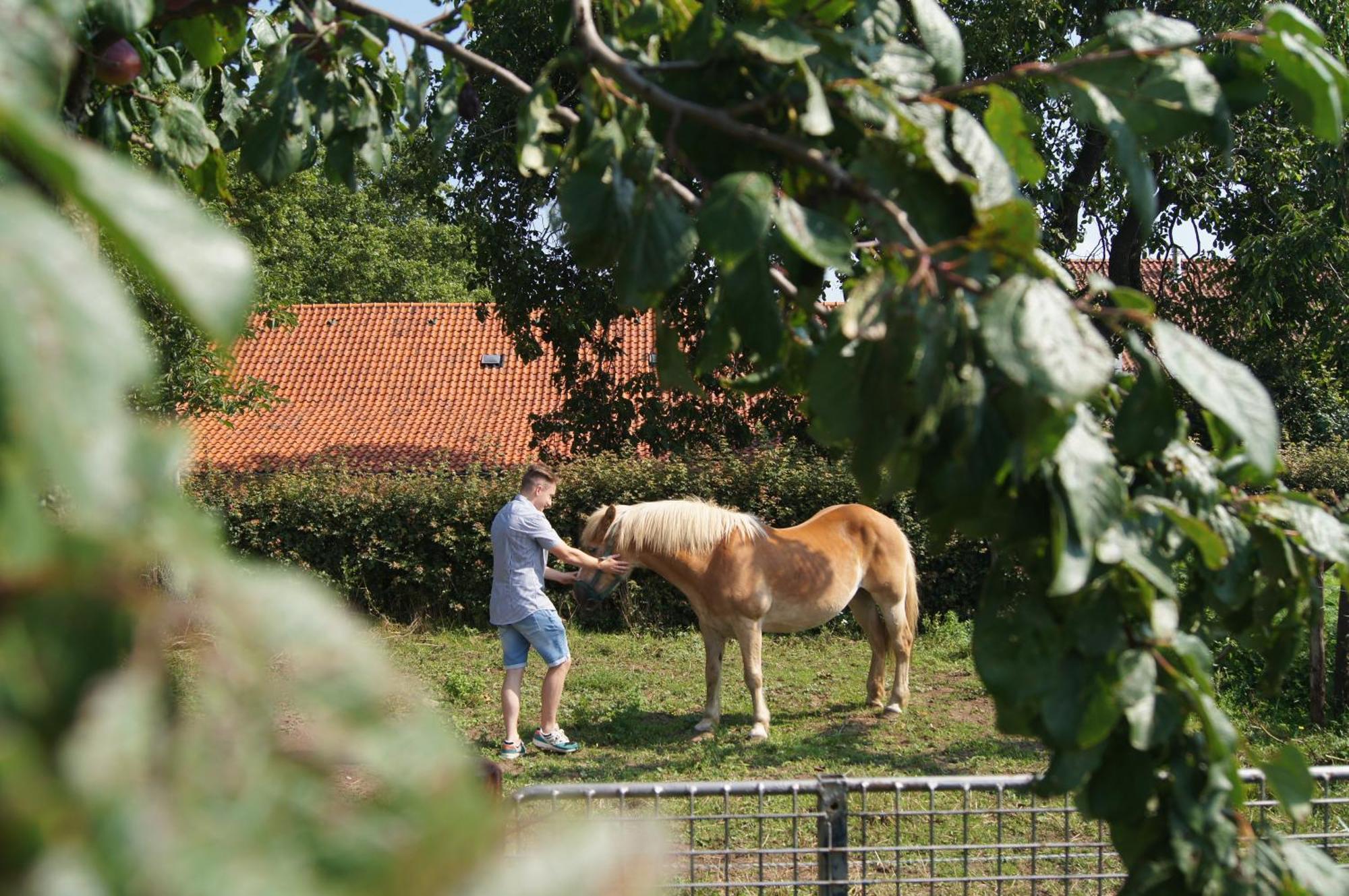Hoeve Linnerveld Merum Bagian luar foto